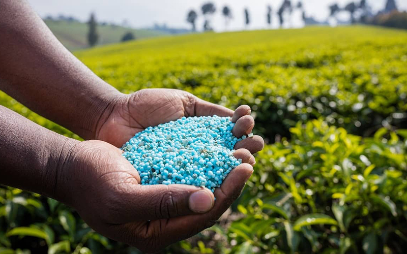 Chemical & Fertilizers